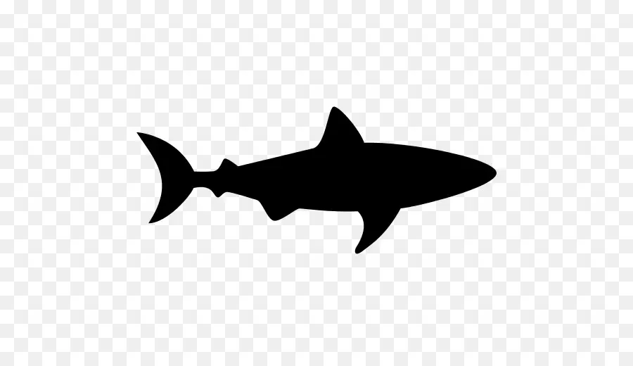 ฉลาม，เงา PNG