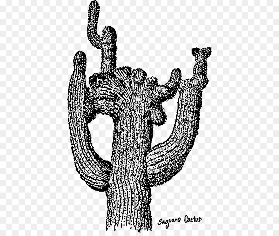 Saguaro Cactus，ทะเลทราย PNG