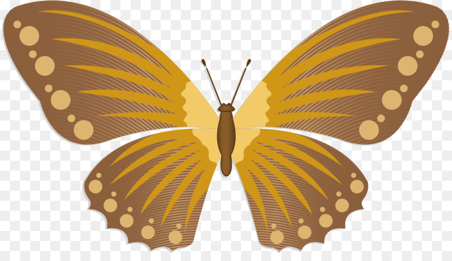 ขนาด Monarch ผีเสื้อ，Pieridae PNG