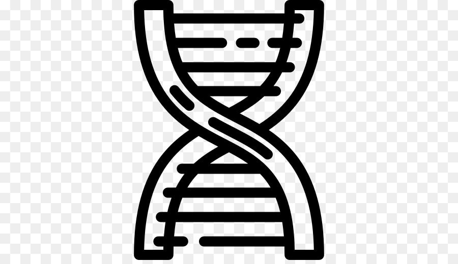 ดีเอ็นเอ，Nucleic กรดดับเบิ้ลเฮลิกซ์ Name PNG