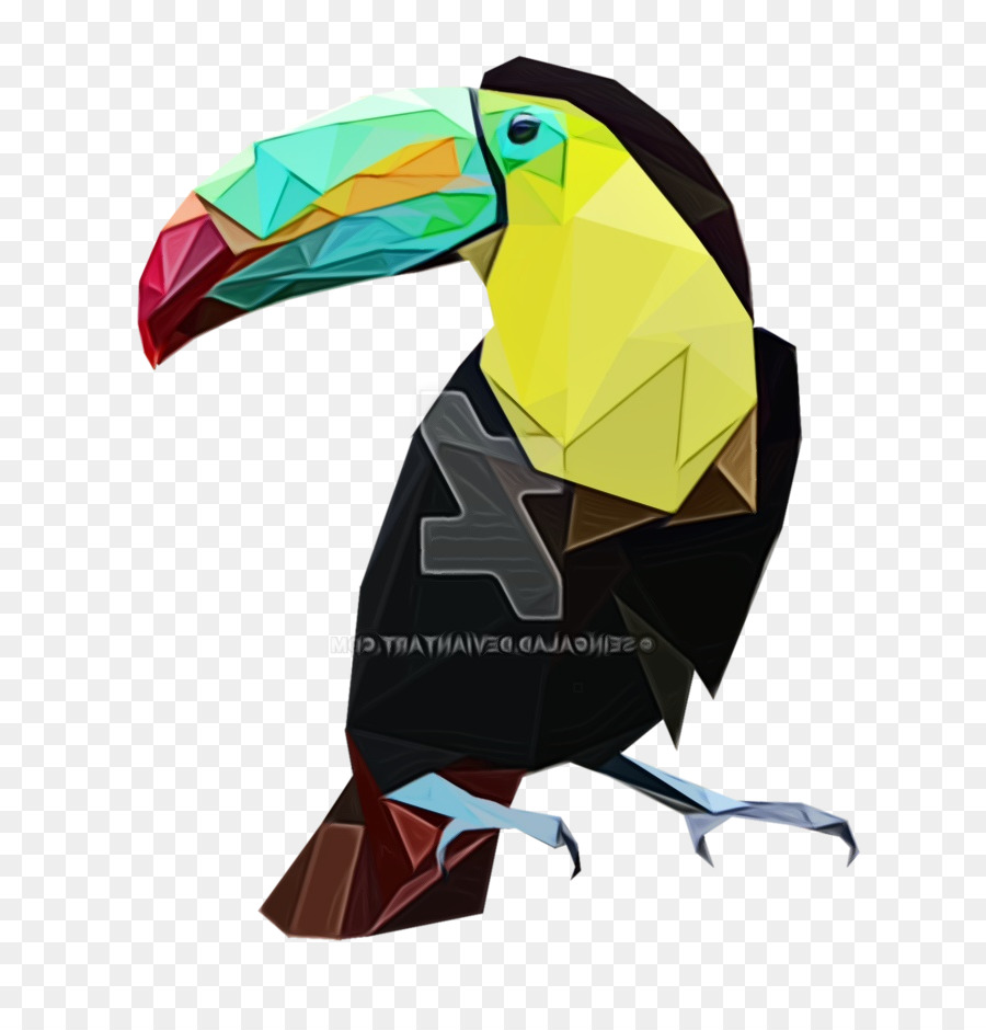 Toucan，ปาก PNG