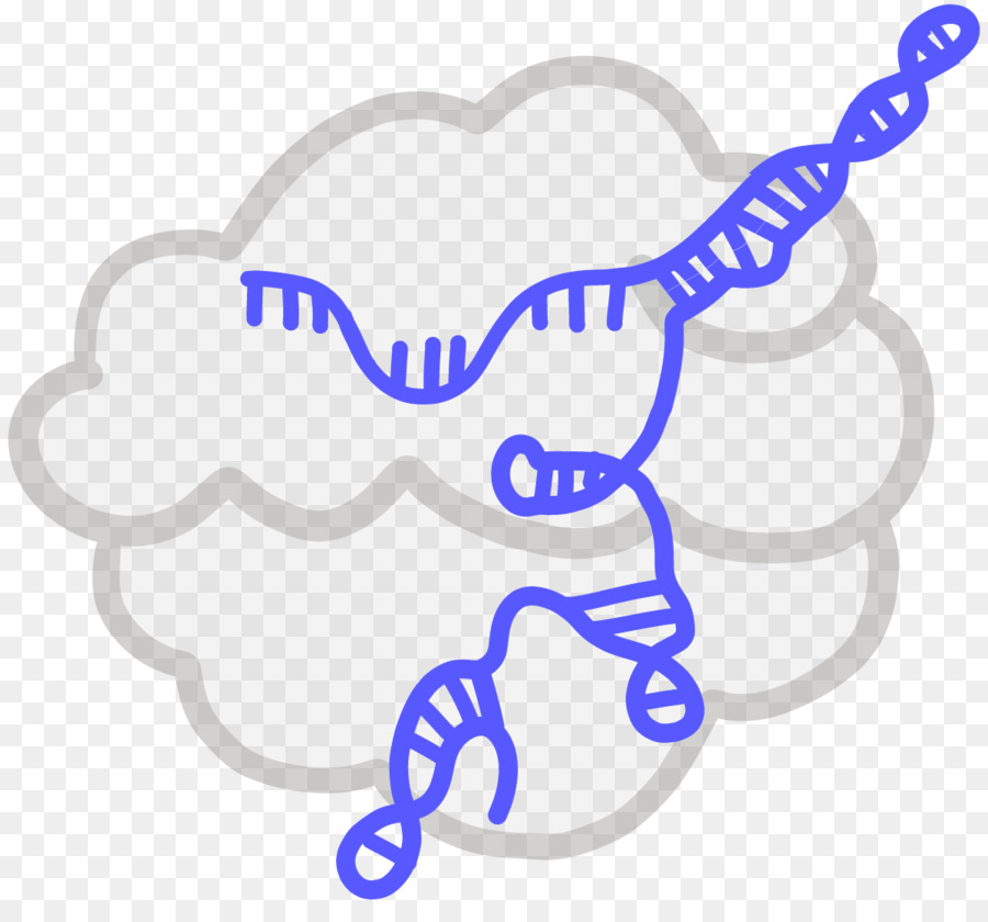 Crispr，ระบบภูมิคุ้มกัน PNG