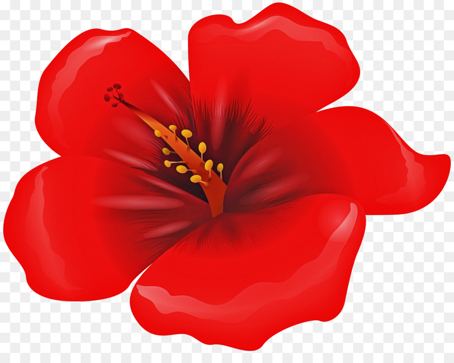 ดอกไม้，สีแดง PNG