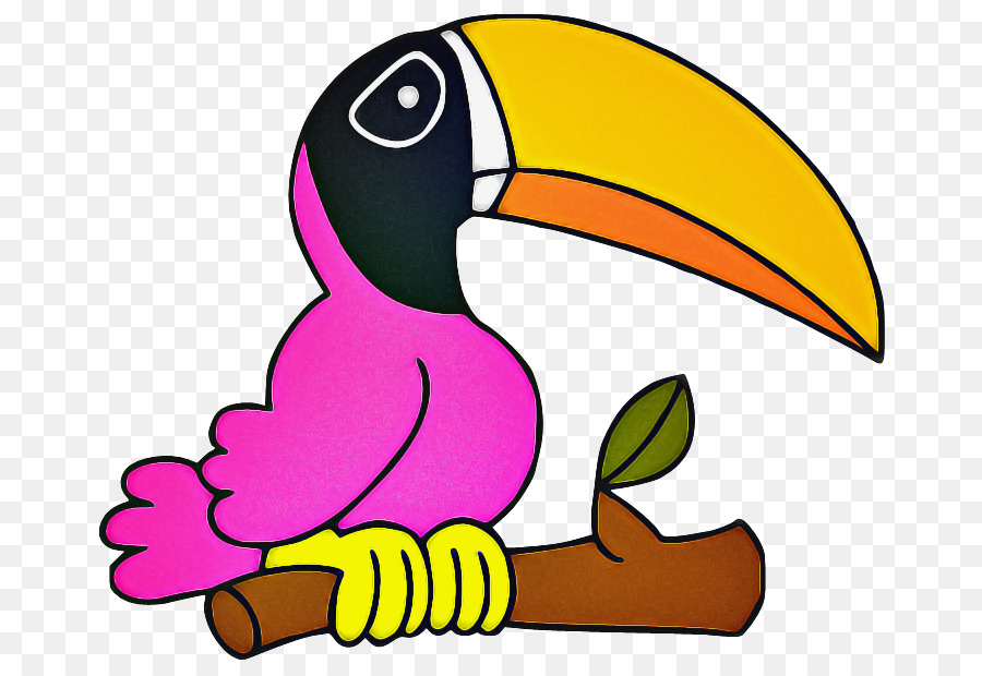 Toucan，นก PNG