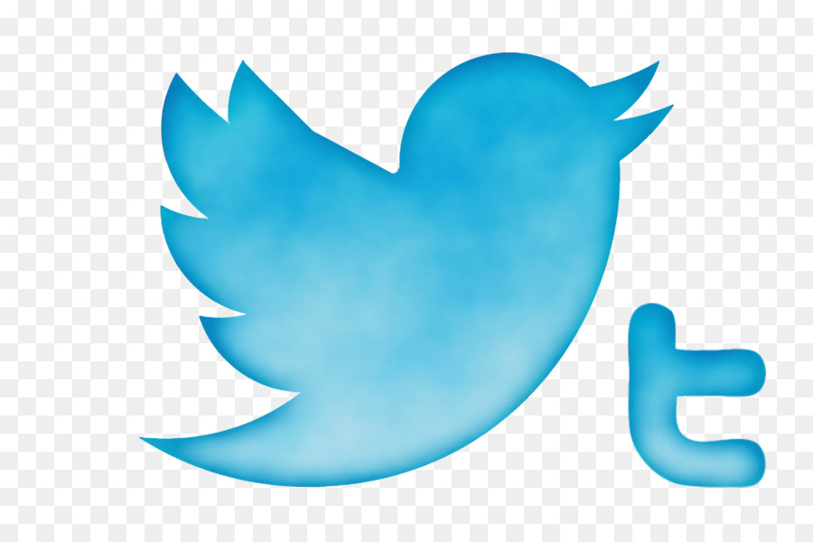 โลโก้ Twitter สีน้ำเงิน，โซเชียลมีเดีย PNG