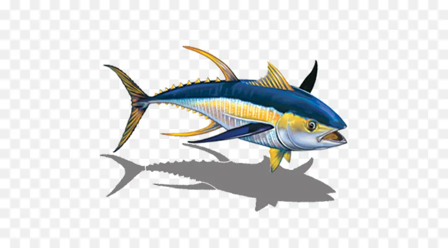 ทูน่า，ปลา PNG
