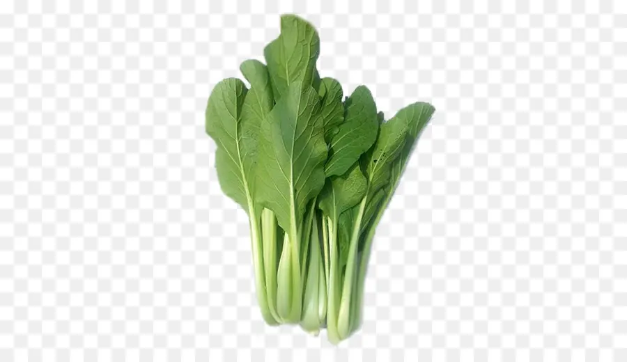 Bok Choy，สีเขียว PNG