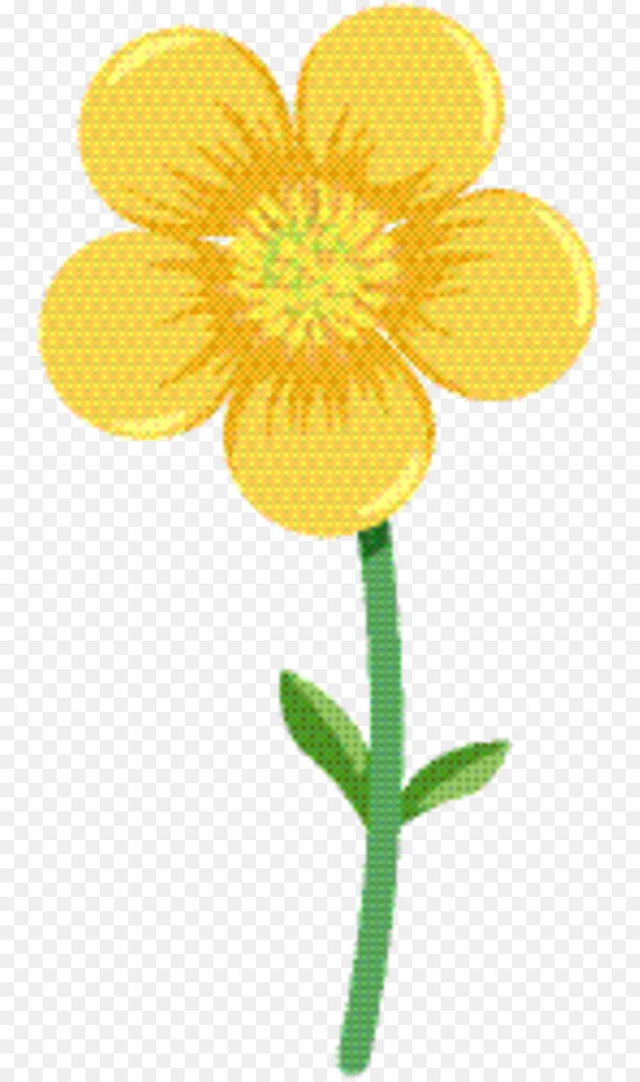 สีเหลือง，ตัดดอกไม้ PNG