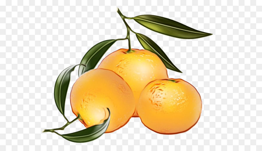 นภาษาแมนดารินแปสีส้ม，สีส้ม PNG