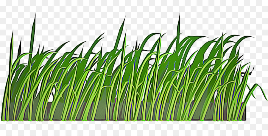 หญ้า，สีเขียว PNG