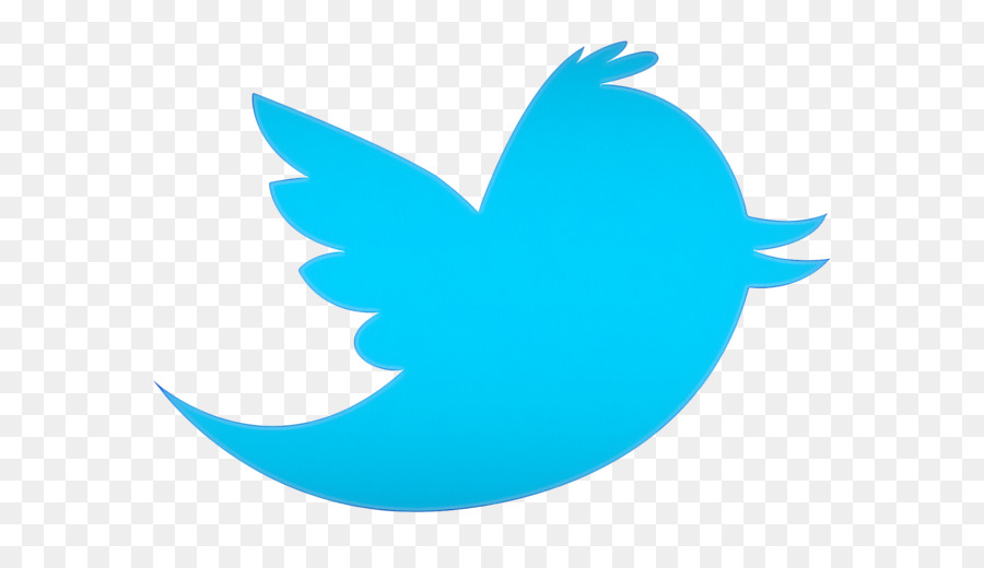 โลโก้ Twitter สีน้ำเงิน，โซเชียลมีเดีย PNG