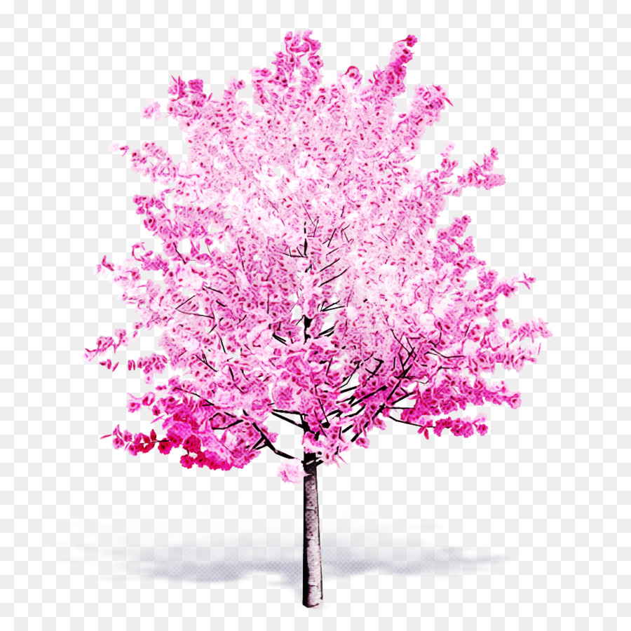 สีชมพู，ต้นไม้ PNG