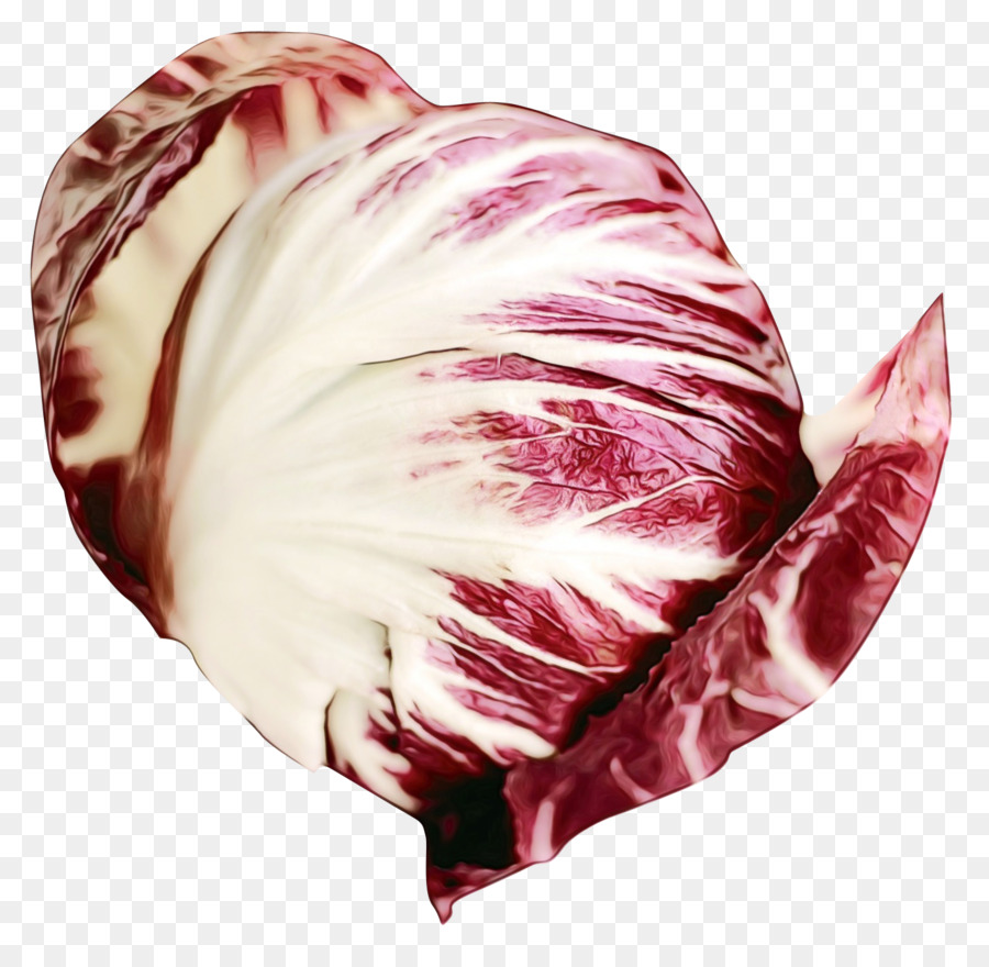 สีชมพู，Radicchio PNG