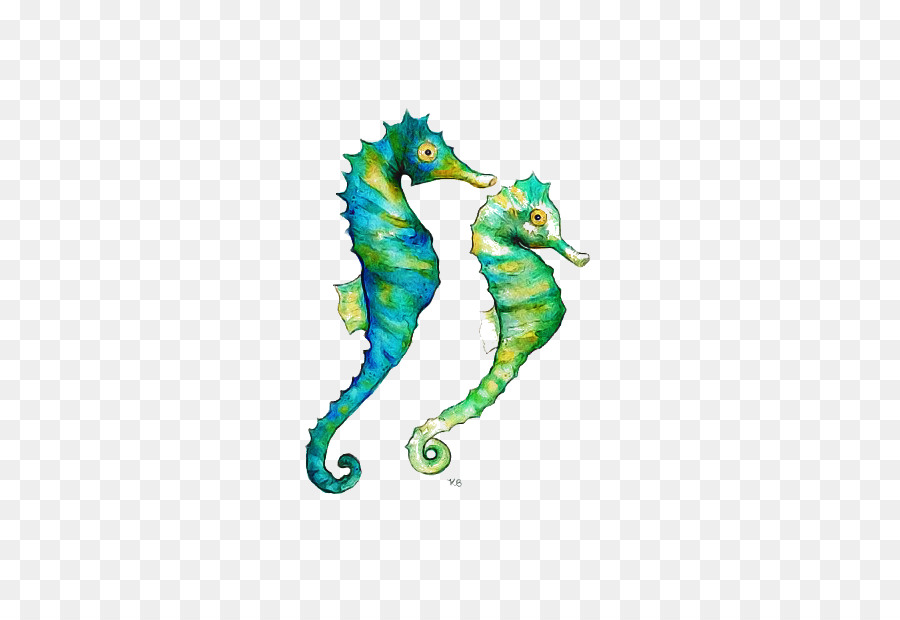 ซี，เหนือ Seahorse PNG