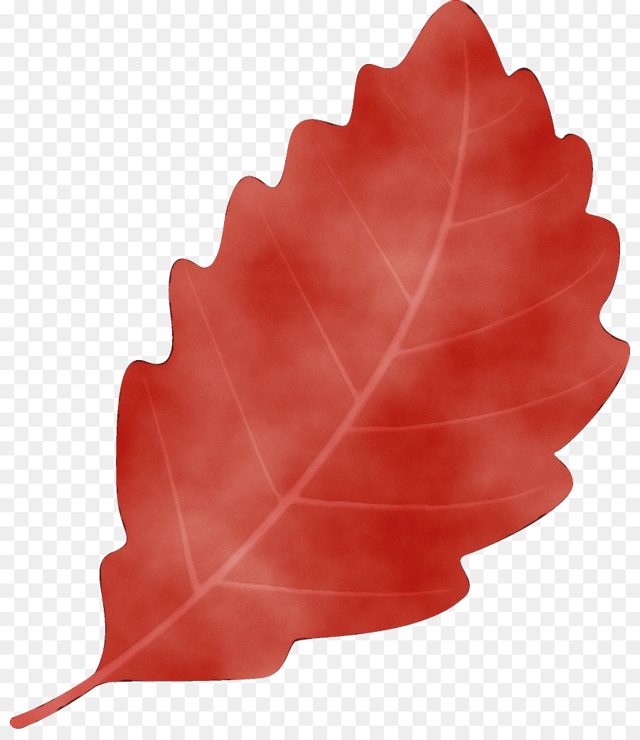 ใบไม้ติด，สีแดง PNG