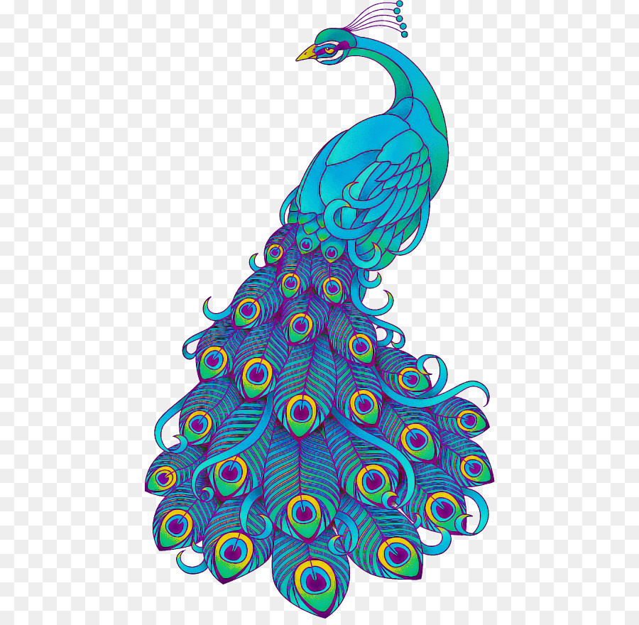 Peafowl，อควา PNG