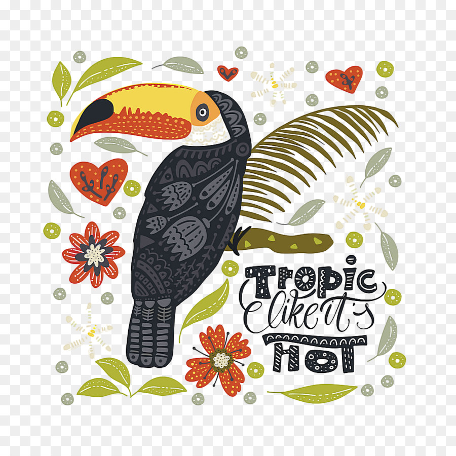 นก，Toucan PNG