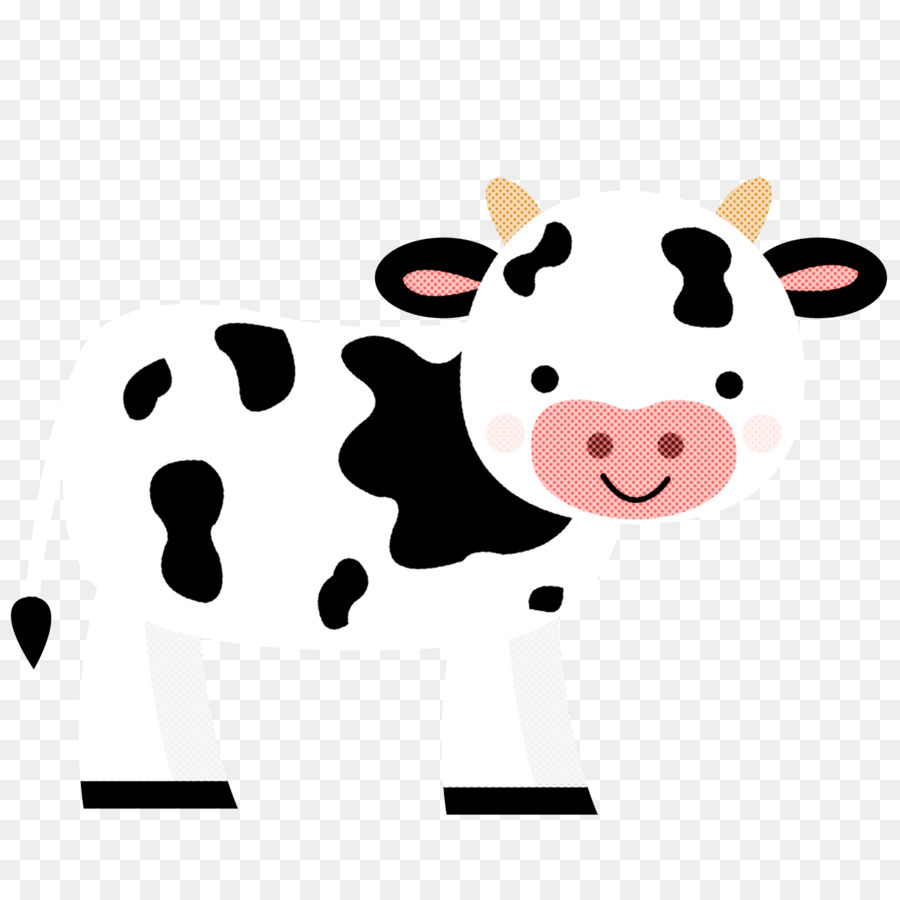 ตูน，Dairy วัว PNG