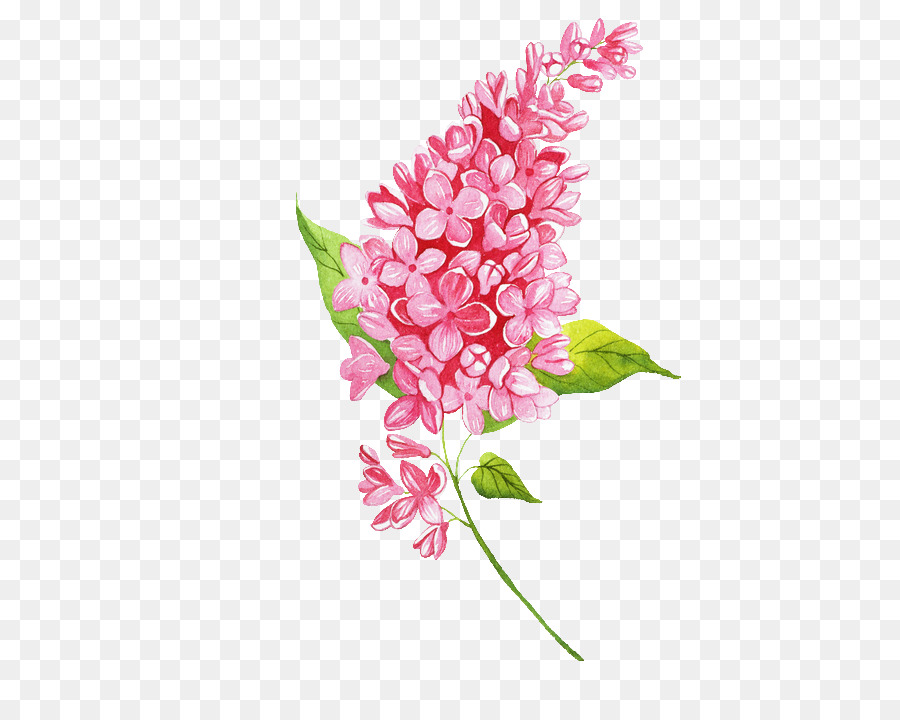 ดอกไม้, สีชมพู, ตัดดอกไม้ png - png ดอกไม้, สีชมพู, ตัดดอกไม้ icon vector