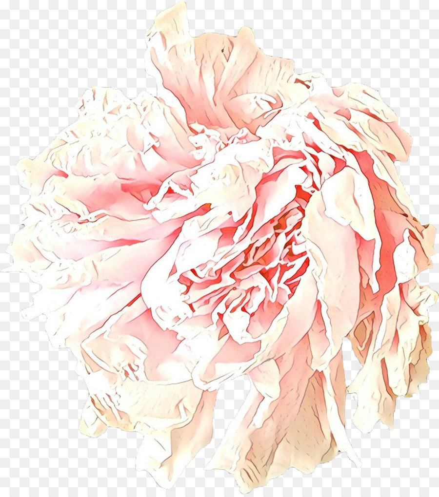 สีชมพู，ดอกไม้ PNG