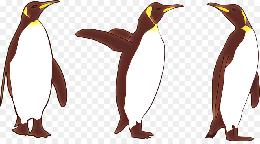 นก，กเพนกวินตบเพนกวิน PNG