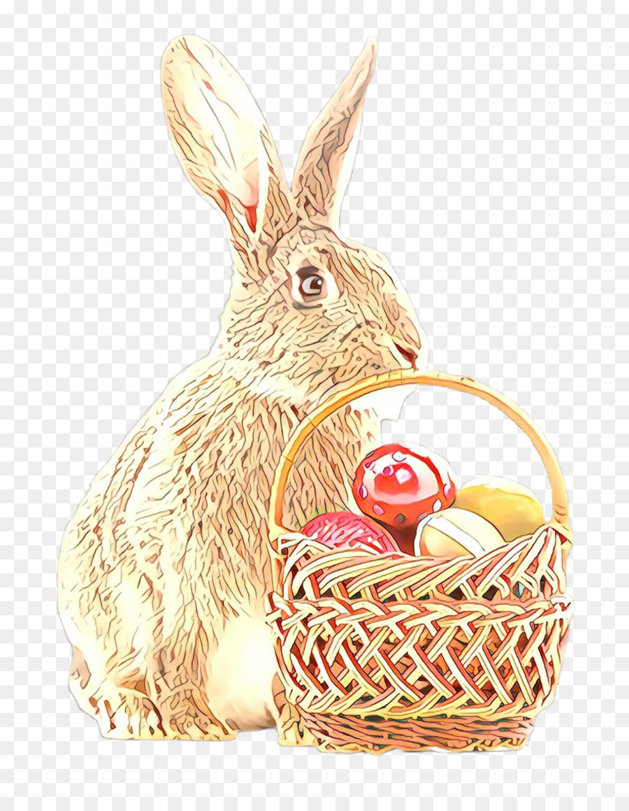 กระต่าย，กระต่ายและ Hares PNG
