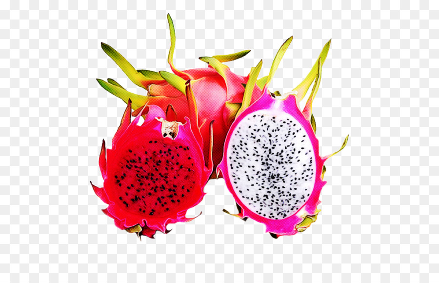 Pitaya，ผลไม้ PNG