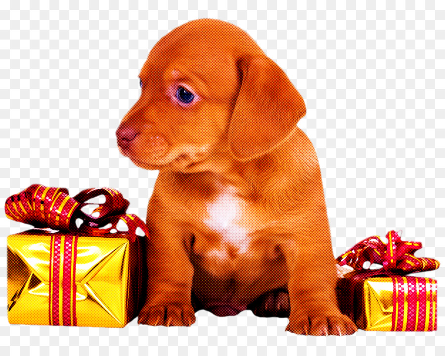 หมา，Vizsla PNG