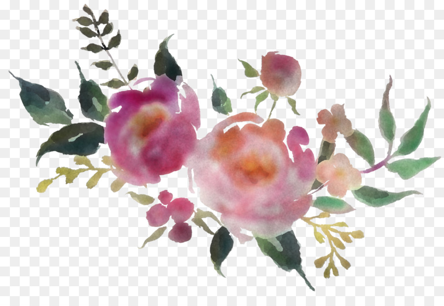 ดอกไม้，สีชมพู PNG
