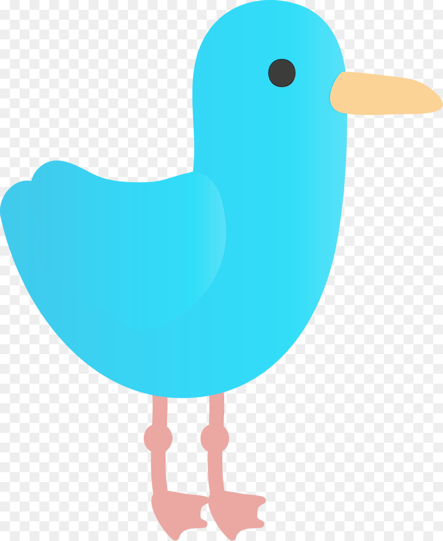 นก，Color PNG
