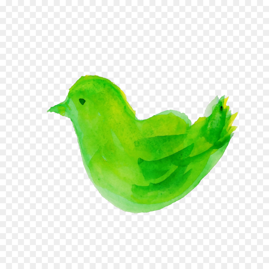 สีเขียว，นก PNG