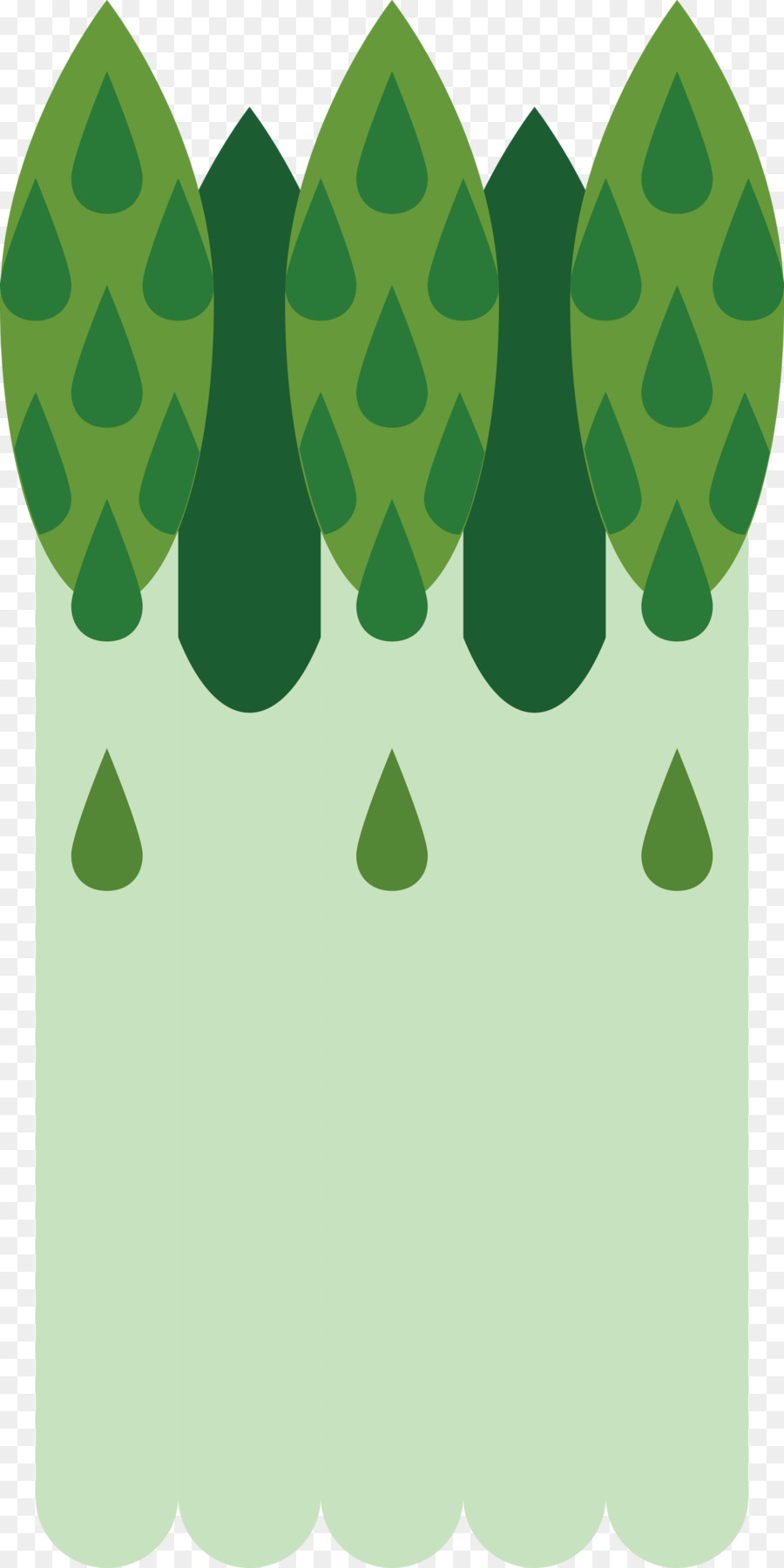 สีเขียว，ใบไม้ติด PNG