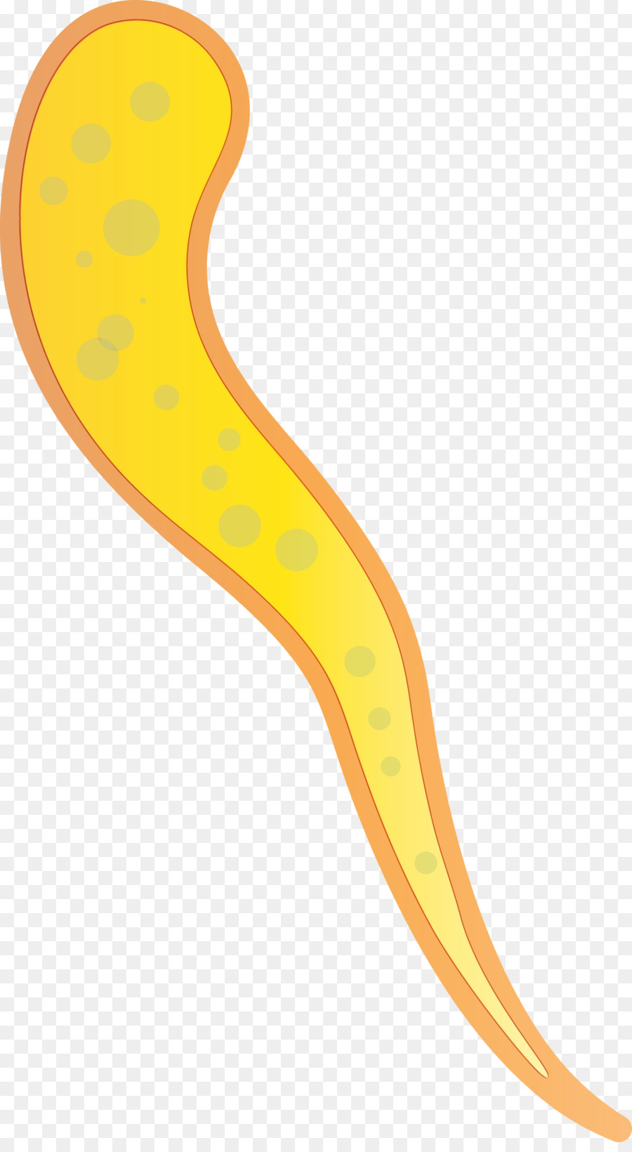 สีเหลือง，Flatworm PNG