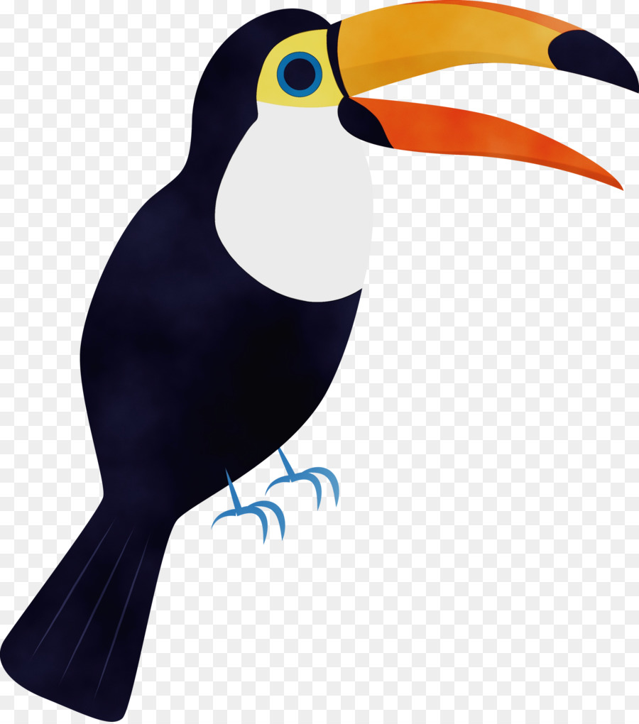 Toucans，ปาก PNG