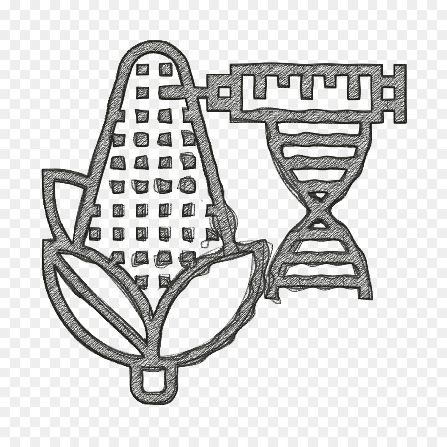 ข้าวโพดและดีเอ็นเอ，พันธุศาสตร์ PNG