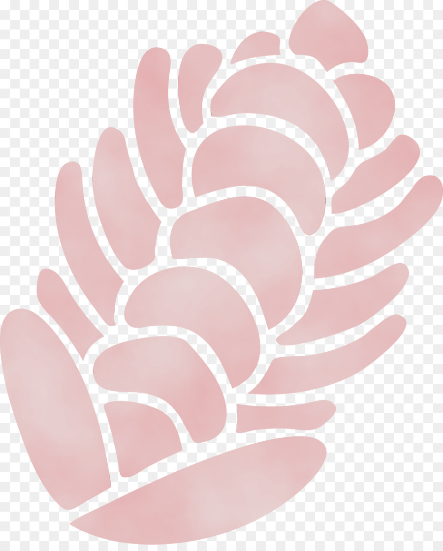 Pinecone สีชมพู，ธรรมชาติ PNG