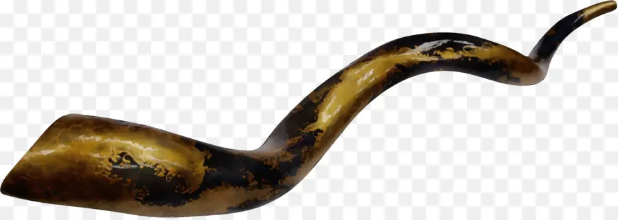 Shofar，แตร PNG