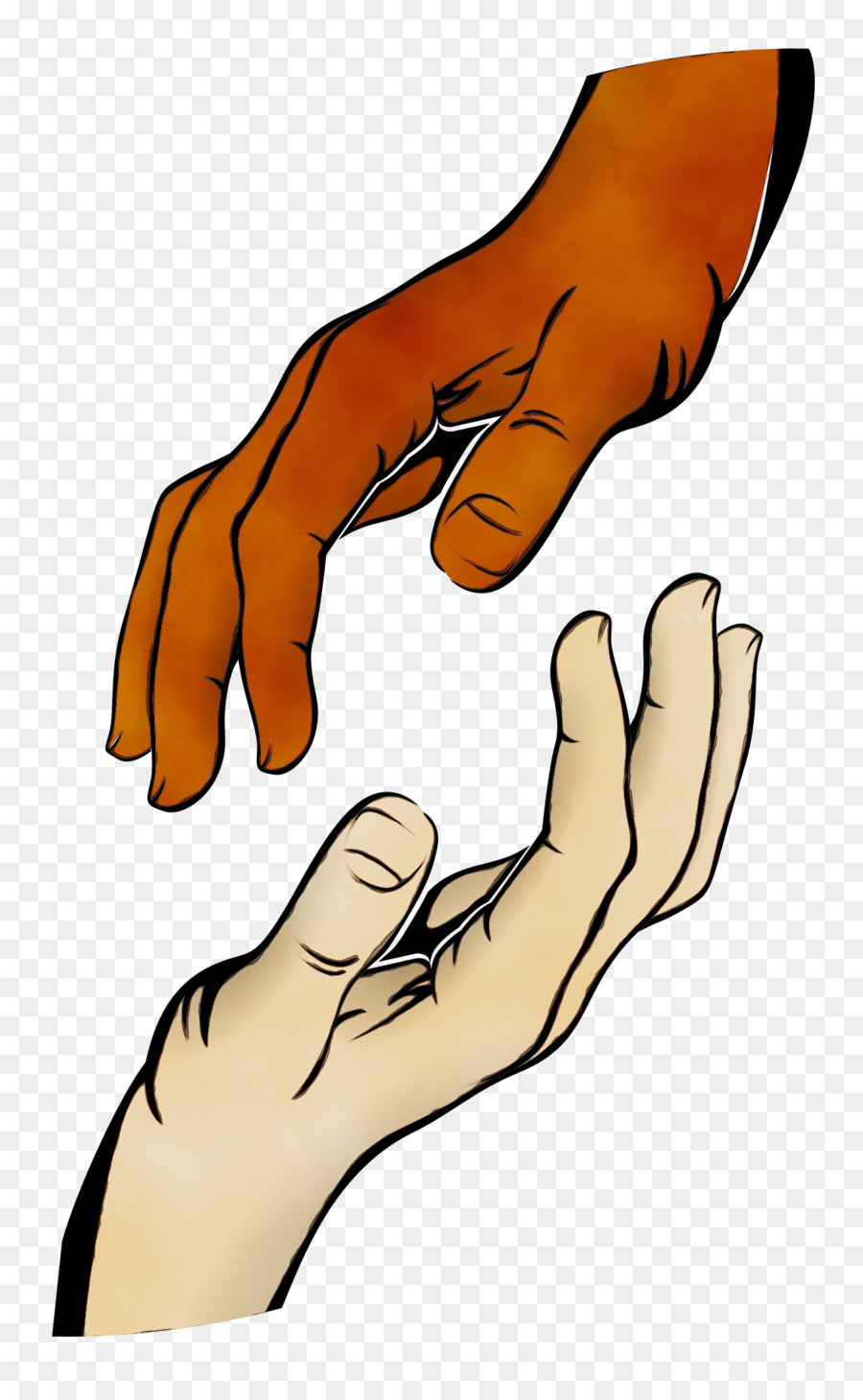 มือของ，มือของนางแบบ PNG