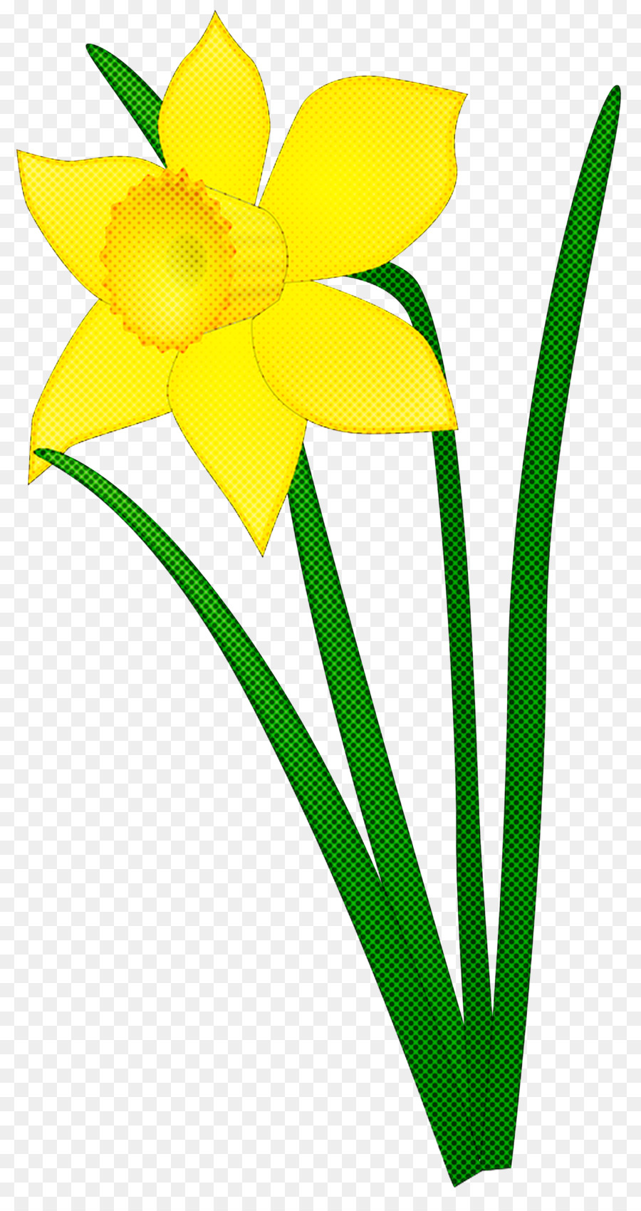 แดฟโฟดิล，ดอกไม้ PNG