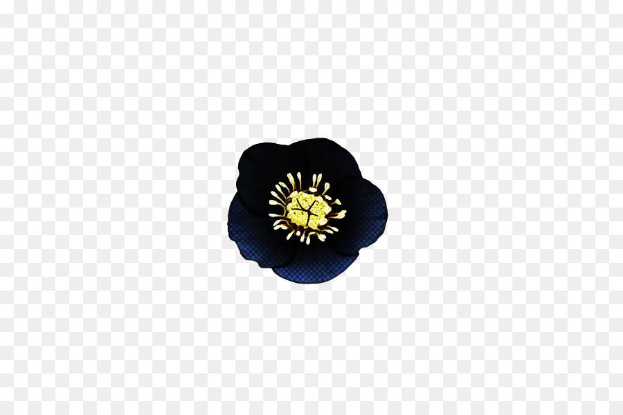 โคบอลต์สีฟ้าม，ดอกไม้ PNG