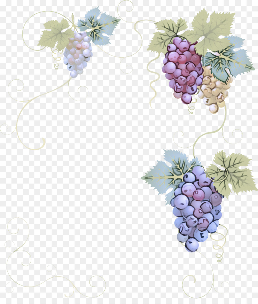 น้ำองุ่น，Grapevines PNG