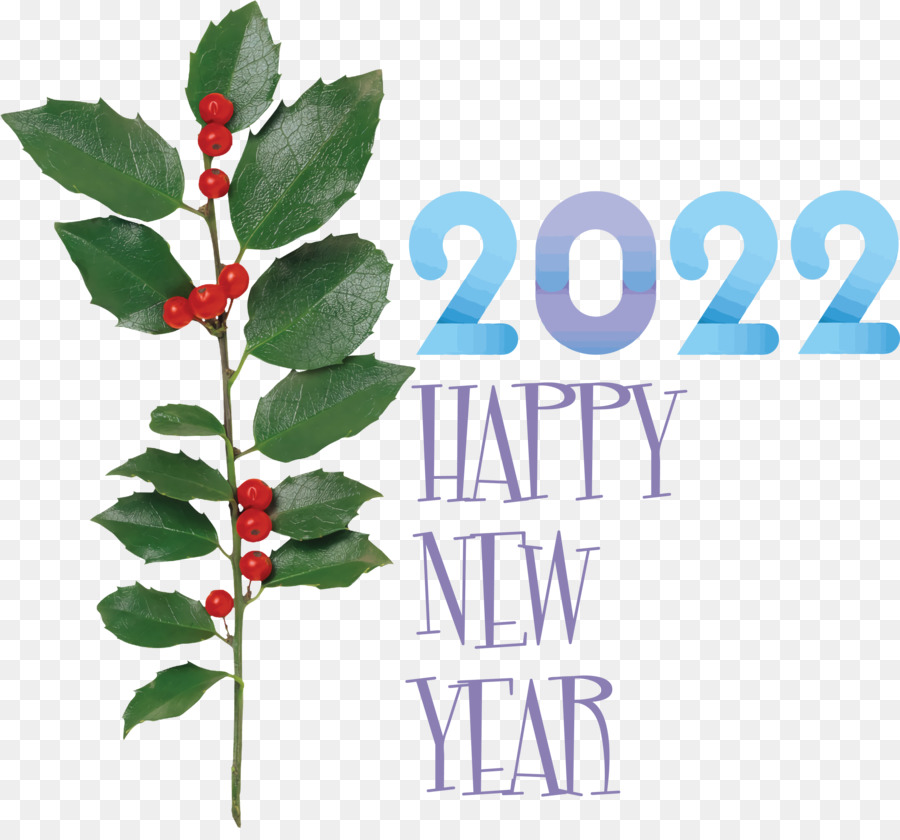 ปีใหม่，2022 PNG