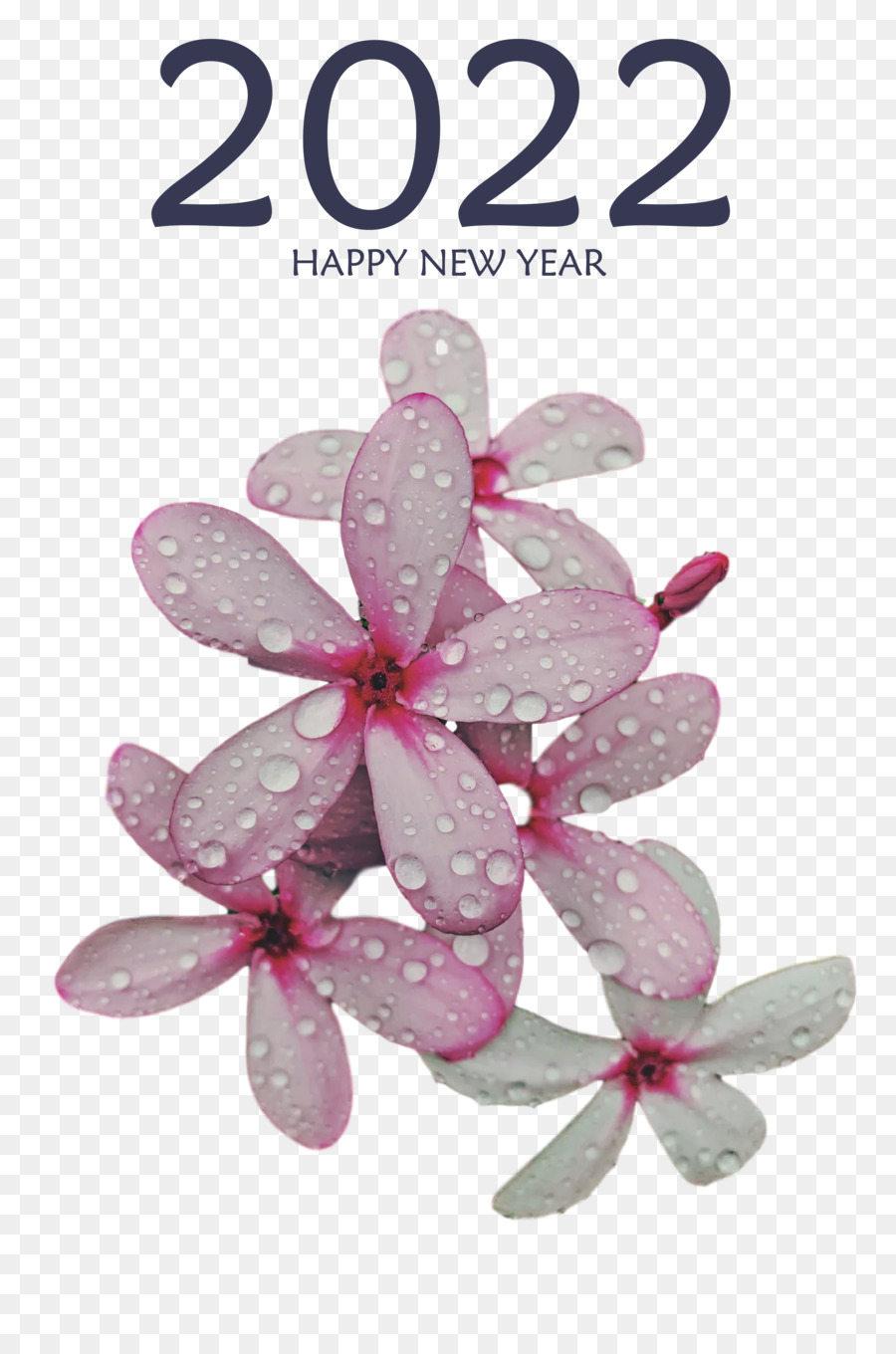 สุขสันต์วันปีใหม่，วันปีใหม่ PNG