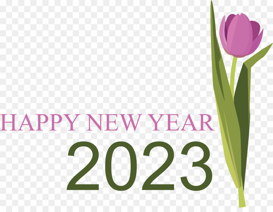 สวัสดีปีใหม่ 2023，ปีใหม่ PNG