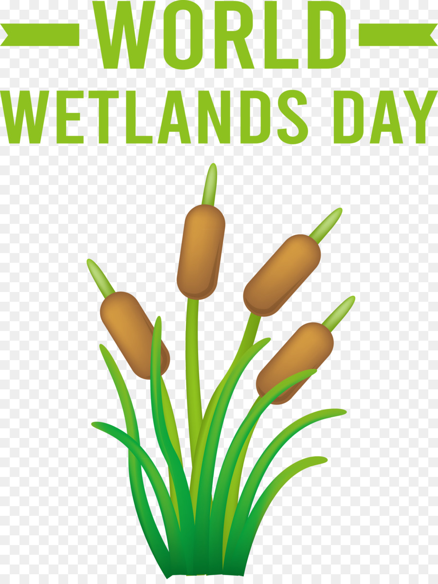 โลก Wetlands วัน， PNG