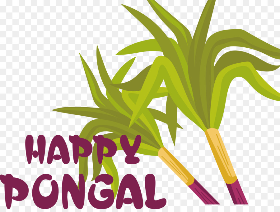 Pongal มีความสุข， PNG