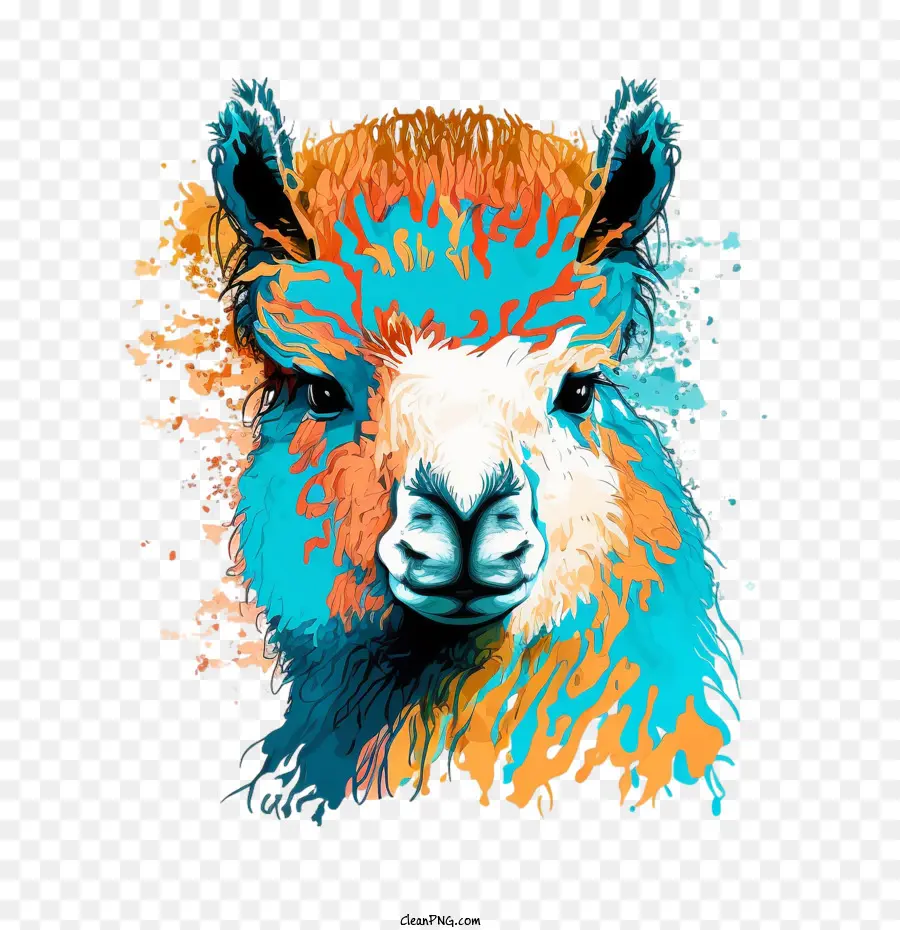 Llama สีสันสดใส，ลาม่า PNG