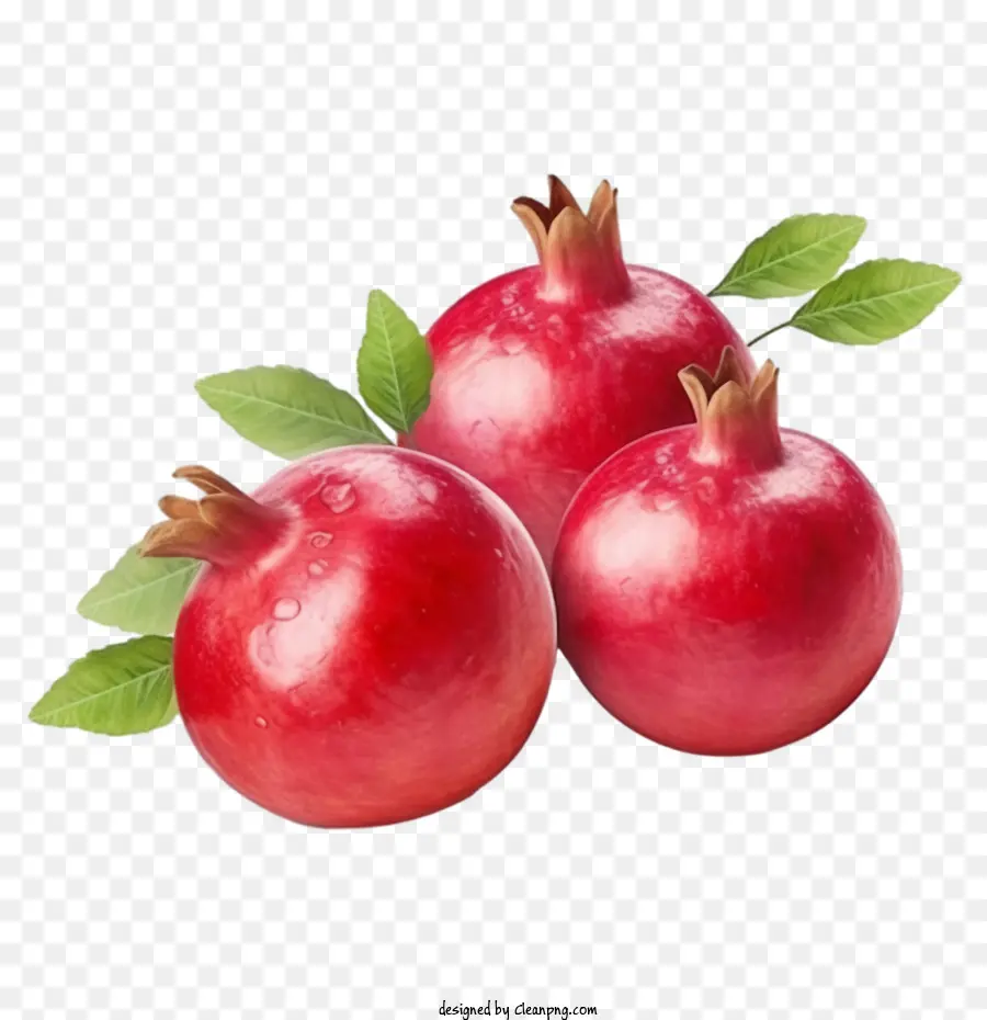 สี Pomegranate，ทับทิม PNG