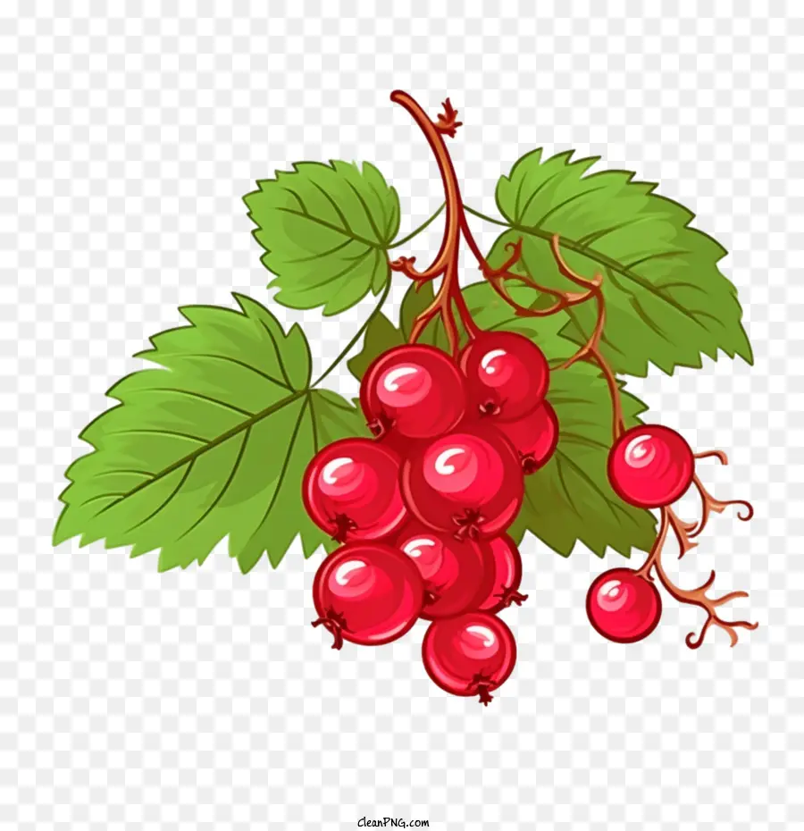 เถื่อนเบอร์รี่，Cranberries PNG