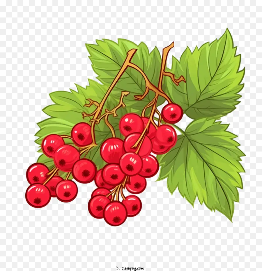 เถื่อนเบอร์รี่，Cranberries PNG